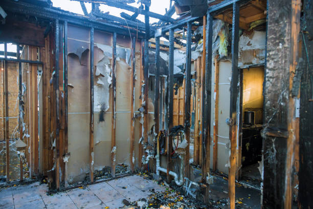 Professional Smoke Damage Removal technician working in Jesup, IA